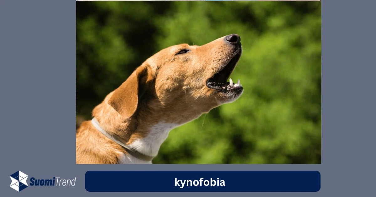 Kynofobia: Mistä koirapelko johtuu?
